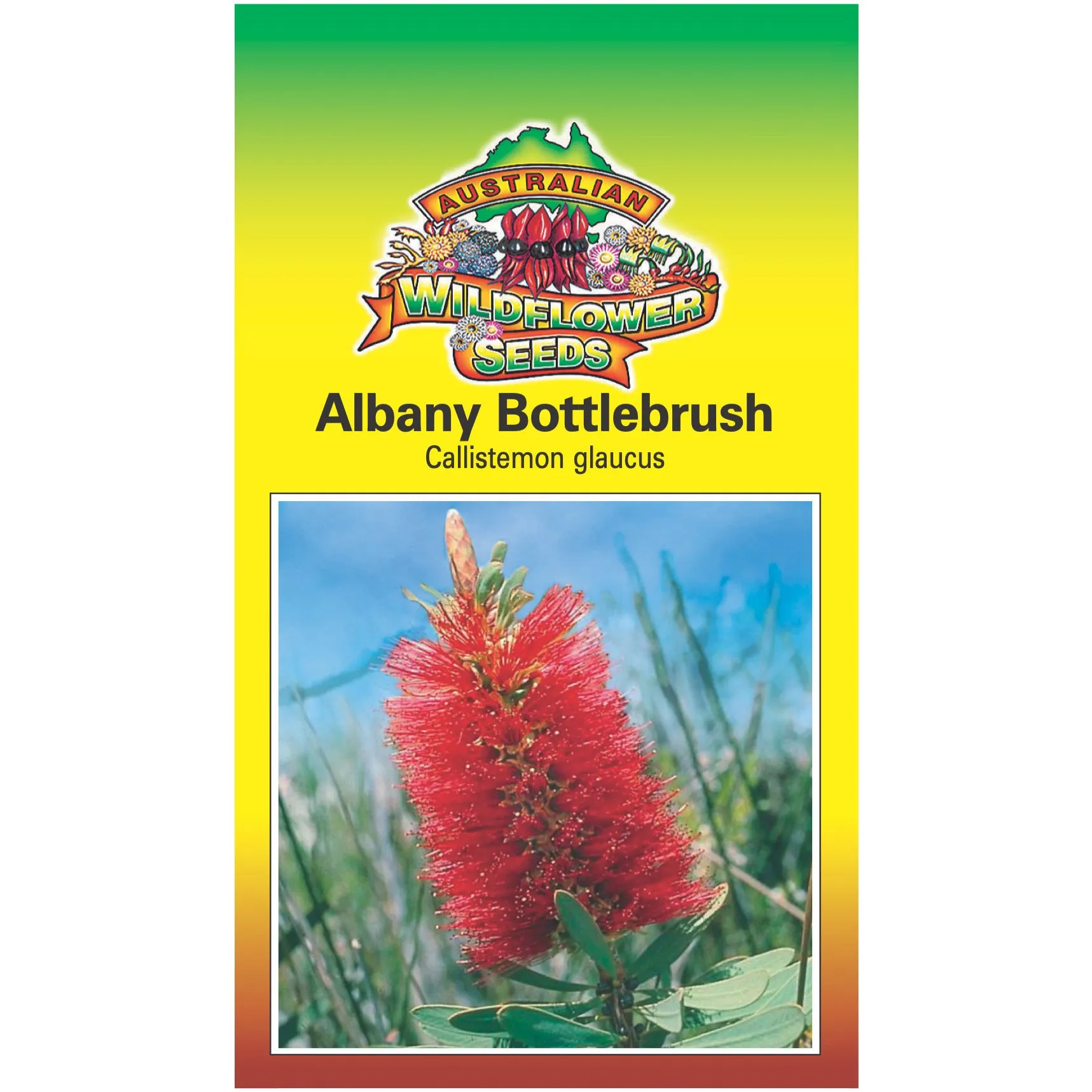 Albany Bottlebrush Seeds