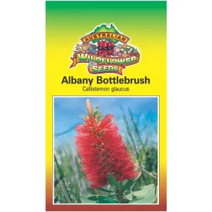 Albany Bottlebrush Seeds