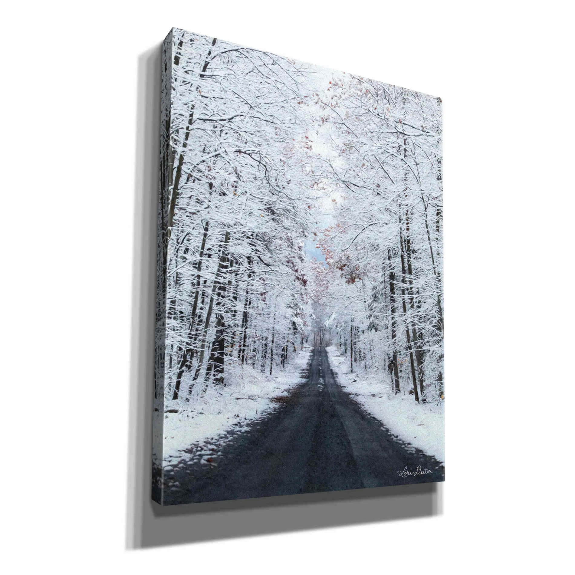 'All Roads Lead Home' by Lori Deiter, Canvas Wall Art