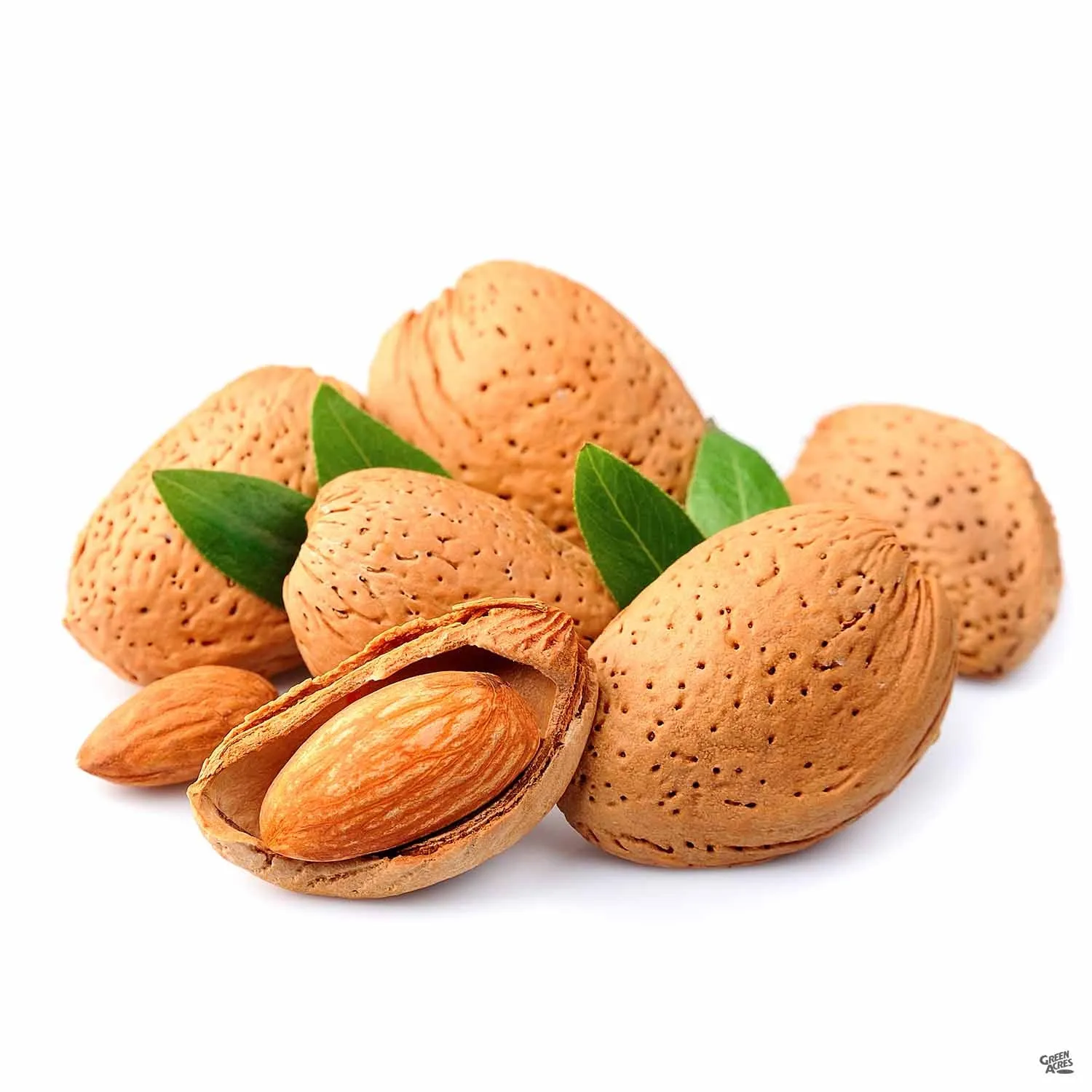 Almond 'All in One' Bareroot