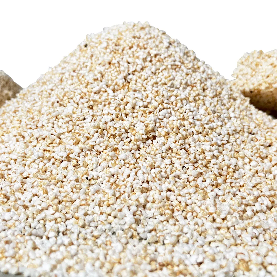 Amaranth Grains