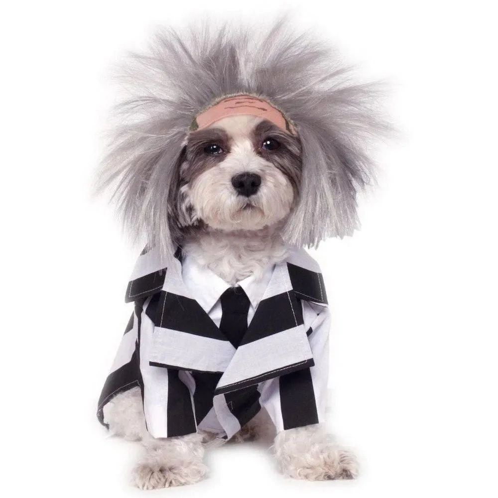 Beetlejuice Costume For Pets