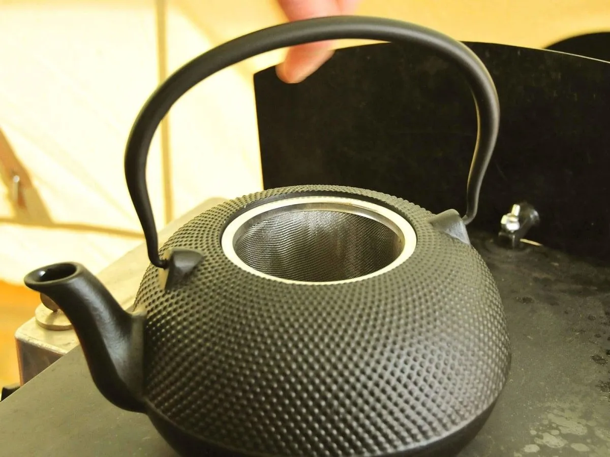 Cast Iron Tea Kettle