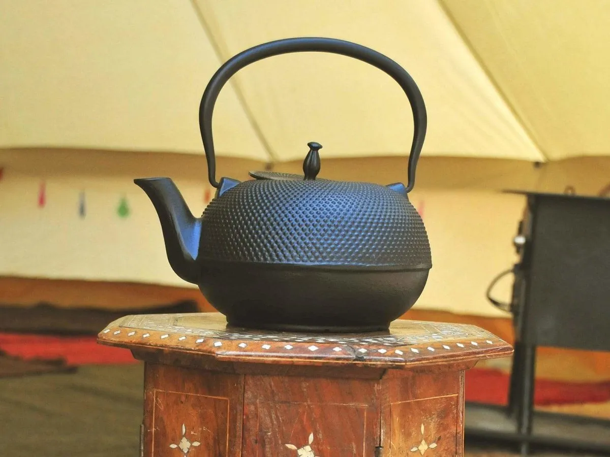 Cast Iron Tea Kettle