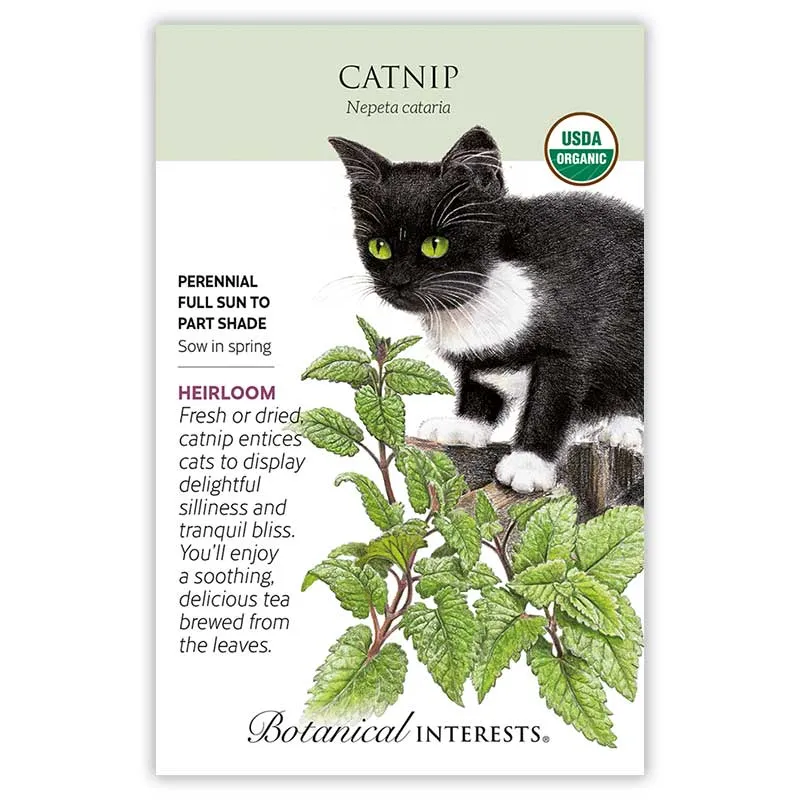 Catnip Seeds