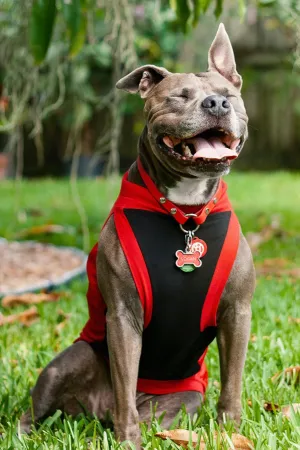 Dog Sports Jersey - Black Body, Red Mesh Sides, Red Trim