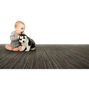 Earth Weave Broadloom Carpeting - Rainier