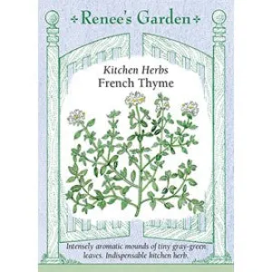 French Thyme by Renee's Garden