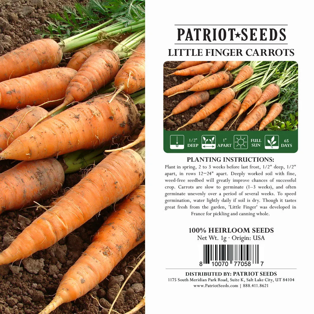 Heirloom Little Finger Carrot Seeds (1g) by Patriot Seeds