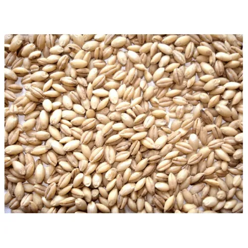 Johnston & Jeff Whole English Barley Wild Bird Feed - 20kg