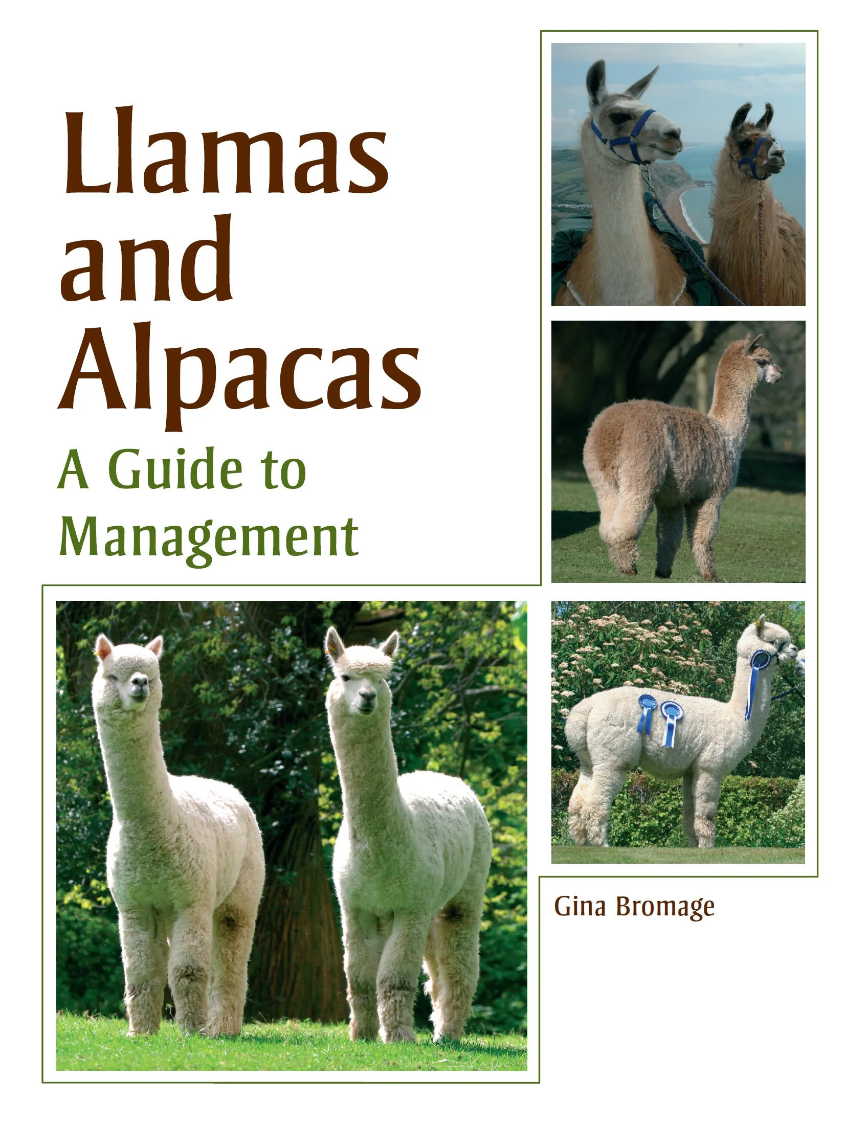 Llamas and Alpacas