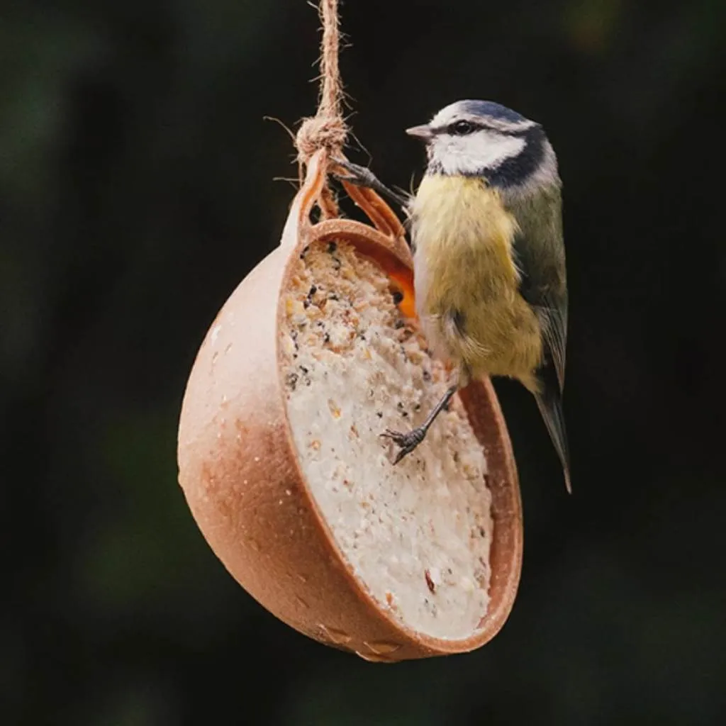 Peckish Natural Balance Coco-Not Wild Bird Feeder