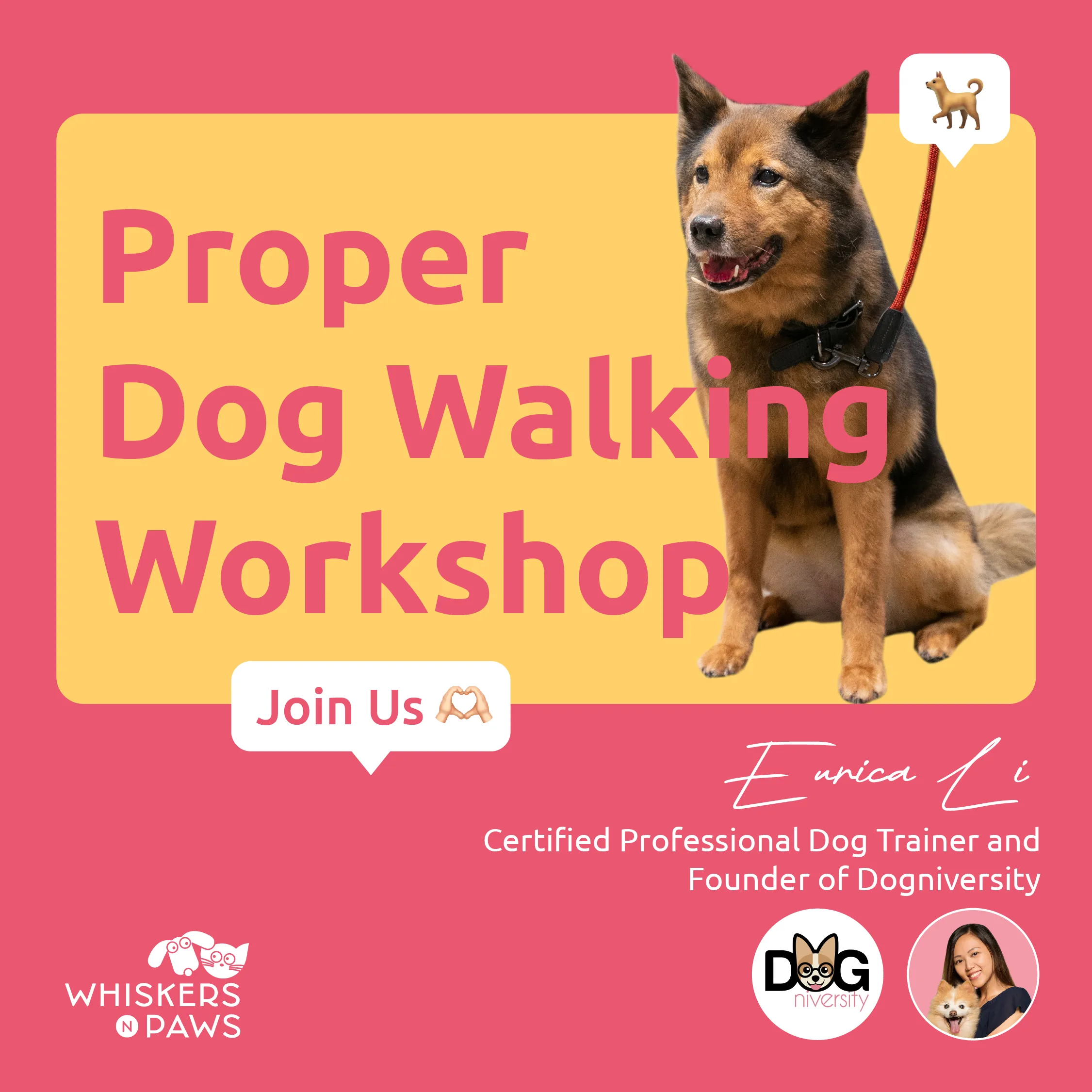 Proper Dog Walking Workshop By Eurica Li