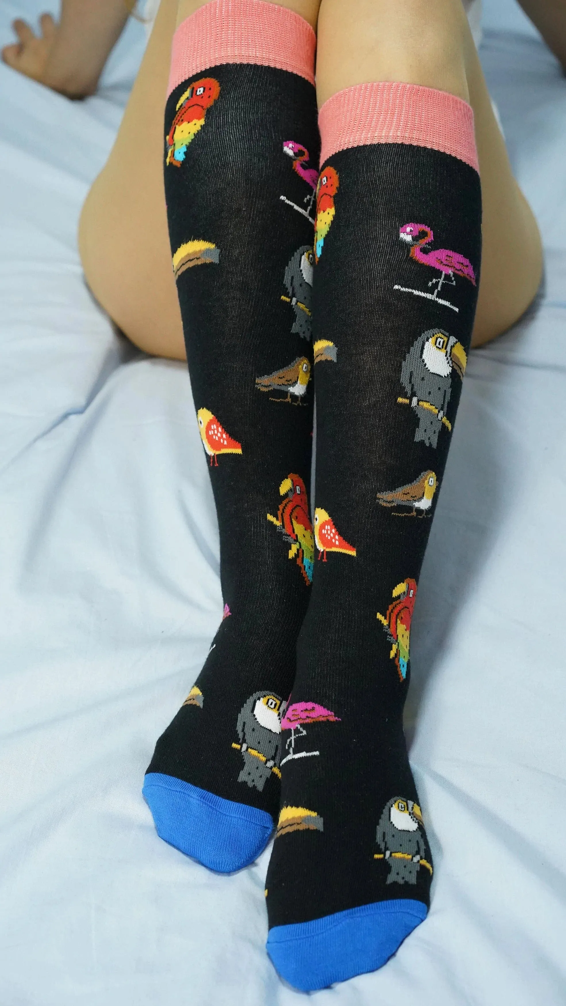 Socks n Socks- Wild Birds Boot Socks