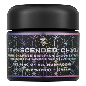 Transcended Chaga ∞ The King of all Mushrooms - 50g Primal Alchemy