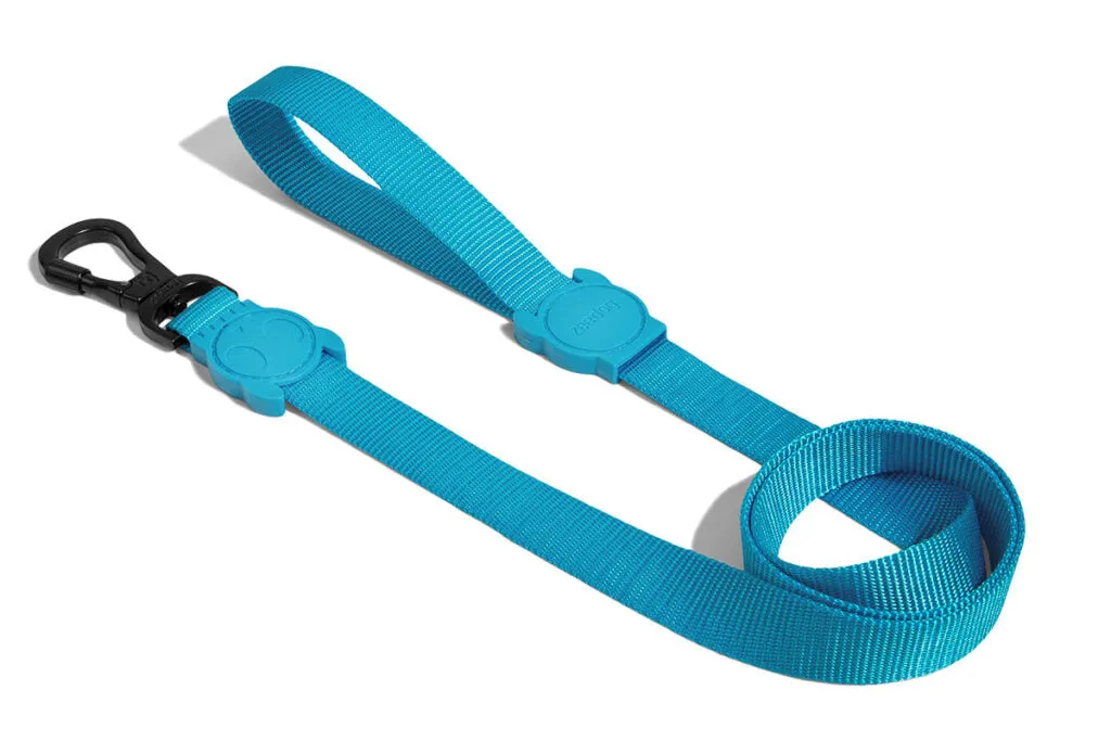 Ultimate Blue Leash