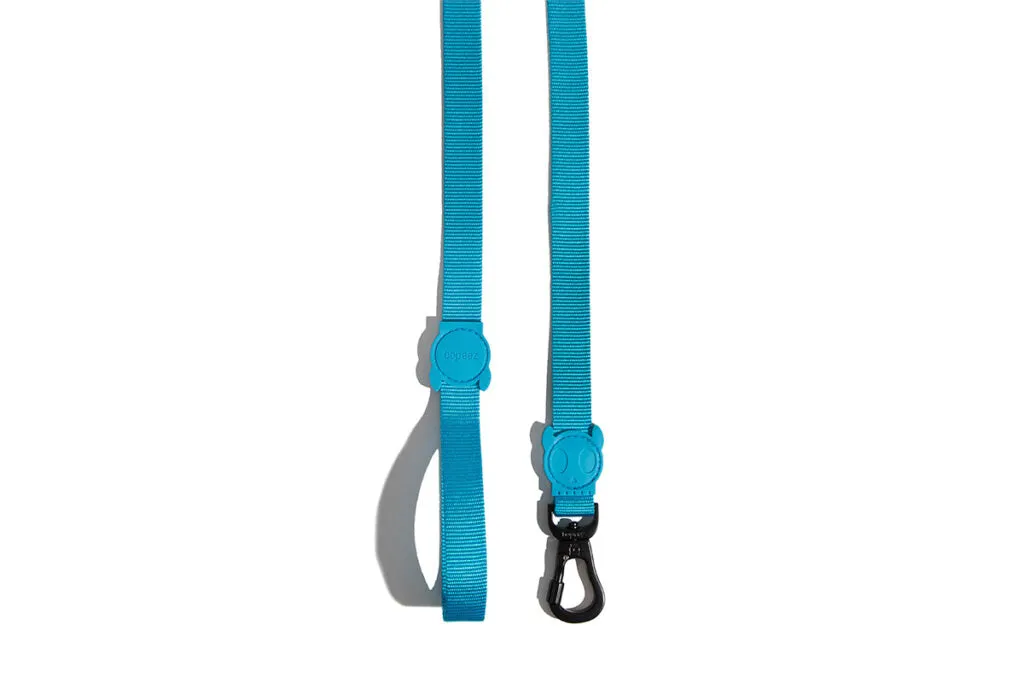 Ultimate Blue Leash